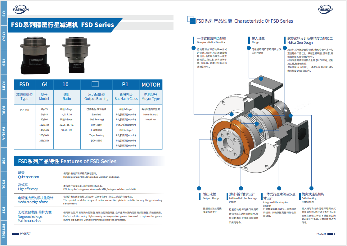 FSD-1.png